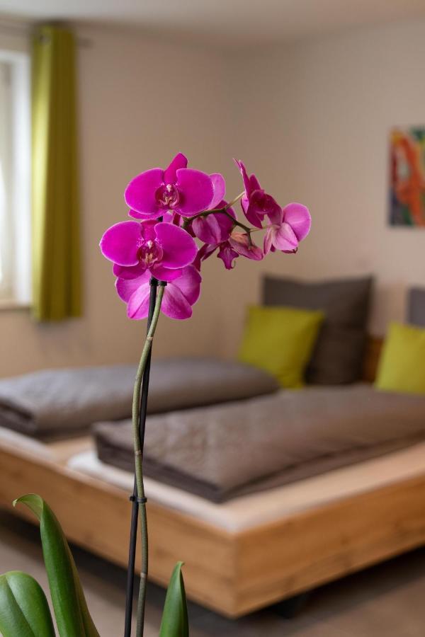 Apartment Alte Raiffeisenkasse โรเทนบวร์ก อ็อบ แดร์เทาเบอร์ ภายนอก รูปภาพ